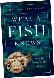  ??  ?? Above: ‘What a Fish Knows: The Inner Lives of Our Under Water Cousins’ by Jonathan Balcombe