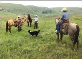  ?? Meghan G’Schwind ?? Pictured above, a crew of cowboys make a plan before gathering the cattle out of a pasture with the help of Kit. Even with several riders, a dog is a helpful asset in big pastures of the Sandhills.