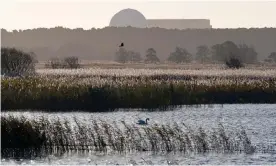  ?? Photograph: Ernie Janes/Alamy ?? Sizewell B nuclear power station looms over the RSPB Minsmere wetlands. The proposed plant would be built on nature reserve’s southern boundary.