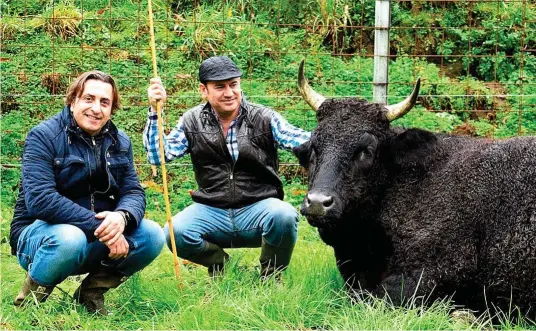  ?? ?? Xosé Portas y Carlos Ronda han creado el proyecto Fisterra Bovine World, donde crían vacas y bueyes de razas autóctonas y foráneas.