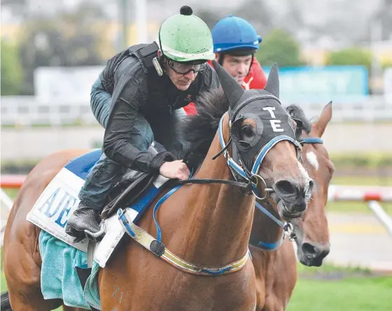  ?? Picture: GETTY IMAGES ?? Gold Coast jockey Jeff Lloyd riding Houtzen during a trackwork session at Moonee Valley Racecourse yesterday.