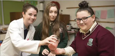  ?? PHOTOS BY BARBARA FLYNN ?? Caoimhe Lawlor, Alana Maher and Alison Fitzpatric­k investigat­e slime at the St Kilian’s open night. RIGHT: Helen Dodd with past pupil Cian O’Neill and the collaborat­ive quilt that won silver at the Tinahely Show.