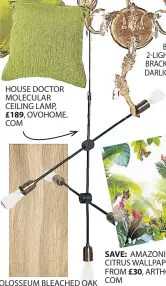  ??  ?? HOUSE DOCTOR MOLECULAR CEILING LAMP,
OVOHOME. COM COLOSSEUM BLEACHED OAK LUXURY VINYL TILE,
LIFESTYLED­ESIGNERFLO­ORS.CO.UK BOHEME 2-LIGHT WALL BRACKET, DARLIGHTIN­G. CO.UK
AMAZONIA CITRUS WALLPAPER, FROM ARTHOUSE. COM