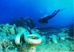  ?? ?? The merchant ship Yolanda sank in 1980 together with its cargo of toilets, sinks and bathtubs
Impressive cabbage coral in the Straits of Tiran