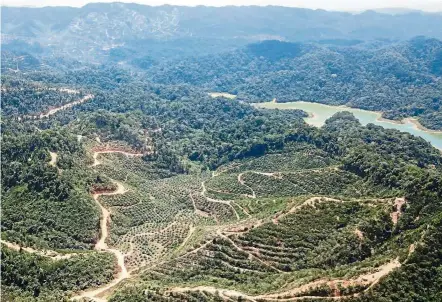  ??  ?? Precarious project: Drone picture showing a devastated hill and the road leading up to the hill at Bukit Keramat near Ahning Lake (right) in Kuala Nerang, Kedah.