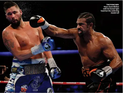  ?? Photos: ACTION IMAGES/ANDREW COULDRIDGE ?? THE PUNCHER: Haye clouts Bellew with his famed right hand but the underdog stands tall