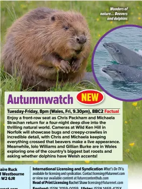  ?? ?? Wonders of nature… Beavers and dolphins