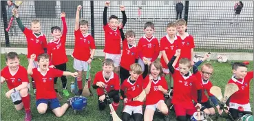  ?? ?? The Kilworth Fe8 hurlers, who put in a great performanc­e in Páirc Uí Chaoimh last Saturday week.