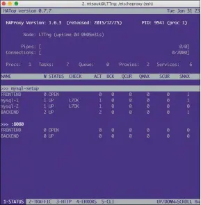  ??  ?? The hatop utility in action. hatop uses the HAProxy Unix socket and its output looks similar to the output of the top utility.