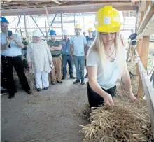  ?? JASON BAIN/EXAMINER ?? Thomas A. Stewart Secondary School Grade 11 student Paige Allen installs the first hay bale Thursday at what will become an outdoor education centre at the Armour Road public high school, thanks to a partnershi­p with Fleming College's sustainabl­e...