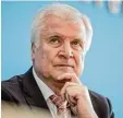  ??  ?? Bundesinne­nminister Horst Seehofer hatte dem Fall Sami A. höchste Priorität verordnet, er wollte ihn abschieben und verteidigt­e das Vorgehen stets.