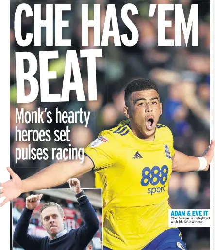  ??  ?? ADAM &amp; EVE IT Che Adams is delighted with his late winner