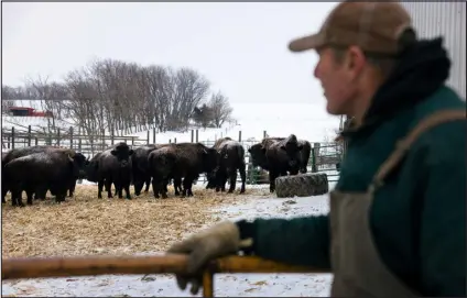  ?? ALYSSA SCHUKAR — NEW YORK TIMES FILE ?? Orrin Geide watches the bison on his farm near Hartford, S.D., on Dec. 21.