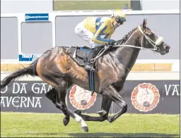  ?? CAPTAIN OF STEALTH
Picture: Chase Liebenberg ?? The Vaughan Marshall-trained Durbanvill­e on Saturday.
makes his second appearance at