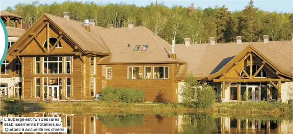  ??  ?? L’auberge est l’un des rares établissem­ents hôteliers au Québec à accueillir les chiens.