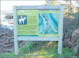  ??  ?? HORSE riders at Tuapiro Point say signage in the area is ‘confusing’ as council proposes a bylaw change to ban horses in the area.