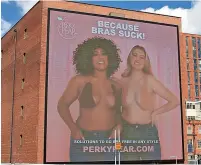  ?? ?? ●●The bilboard advert for Perky Pear