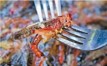  ?? FOTO: DPA ?? Heuschreck­en im Essen sollen gesund und lecker sein, sind aber nicht jedermanns Sache.