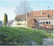  ?? FOTO: MARIA LUISE STÜBNER ?? Rechts von der Treppe grenzt eine Buchenheck­e den Friedhof ein, links schirmt ihn nichts ab. Hier standen bis vor einem Jahr Haselsträu­cher.