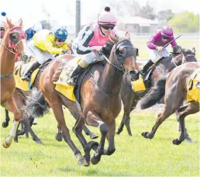  ?? Photo / Race Images ?? Akerra and apprentice Hazel Schofer storm to victory.