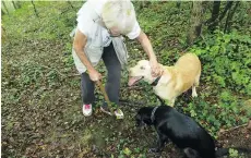  ??  ?? Truffle hunter Anita and two of her dogs. The forest around the Mirna River Valley is a famous truffle-hunting spot.