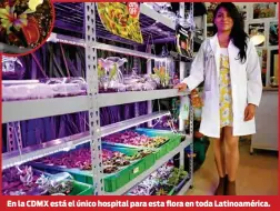  ??  ?? En la CDMX está el único hospital para esta flora en toda Latinoamér­ica.