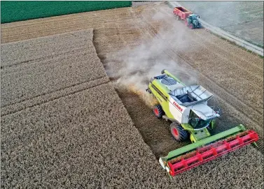  ?? REUTERS ?? A French farmer harvests wheat in his field in Arleux, France on Thursday; picture taken with a drone.