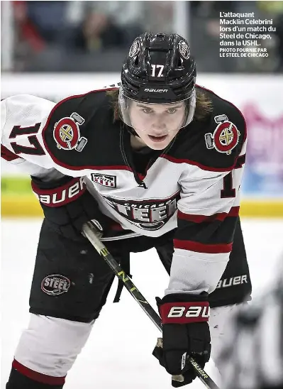 Celebrini, le successeur de Bedard - PressReader