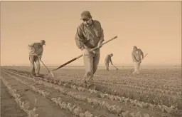  ?? Foto archivo: afp ?? Nueve de cada 10 personas que migran de México lo hacen a Estados Unidos, según el CEMLA.