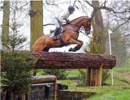  ??  ?? Returning to form after injury last autumn, Harry Meade soars to OI section D victory with Red Kite, doubling up with a win in section C