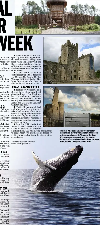  ??  ?? The Irish Whale and Dolphin Group host an informatio­n day and whale watch at the Hook on Saturday, August 26. There are Heritage Week events at venues all over the county, including (from top) the irish National Heritage Park, Tintern Abbey and Ferns...