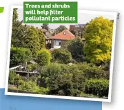  ??  ?? Trees and shrubs will help filter pollutant particles