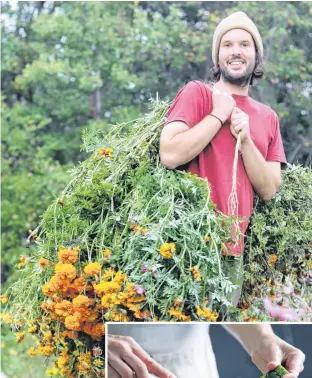  ?? ALISON LOBSINGER ?? Owen Bridge, owner of Annapolis Seeds in Nictaux, isn’t surprised to see stuffed zucchini growing in popularity.