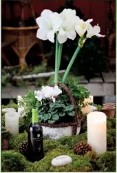  ??  ?? Real cyclamen and ferns planted in the pot are combined with stems of amaryllis from The Barn’s permanent collection of plants. Remove the artificial amaryllis after the holidays from the centerpiec­e for year-round use of the dish garden.