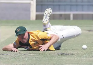  ?? Pictures: KAREN REES ?? DESPERATIO­N: Jung Tigers veteran Marty Knight, left, sends down a delivery against Noradjuha-toolondo at Horsham City Oval. Above, fellow Tiger veteran Chris Walter shows desperatio­n in the field.