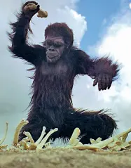  ??  ?? La scimmia di «2001: Odissea nello spazio» di Kubrick