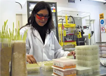  ??  ?? Biotecnolo­gía. Atravesará cada vez más a la agricultur­a en los próximos años. Aquí, un laboratori­o de Monsanto.