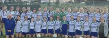  ??  ?? The Arklow Junior footballer­s who are through to the county final.