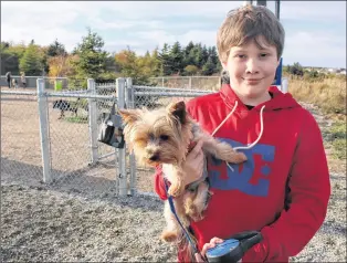  ?? ASHLEY FITZPATRIC­K/THE TELEGRAM ?? Lucas Flynn holds his dog, Lloyd. Lucas won the City of St. John’s contest to name a new dog park in Airport Heights. He was inspired by research on family ties to the First World War, and the image of the Newfoundla­nd dog Sable Chief.