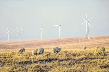  ??  ?? GREENER FUTURE: The Golden Valley Wind Energy Facility, near Cookhouse, started feeding power into the national grid on May 1