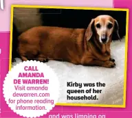  ??  ?? Kirby was the queen of her household.