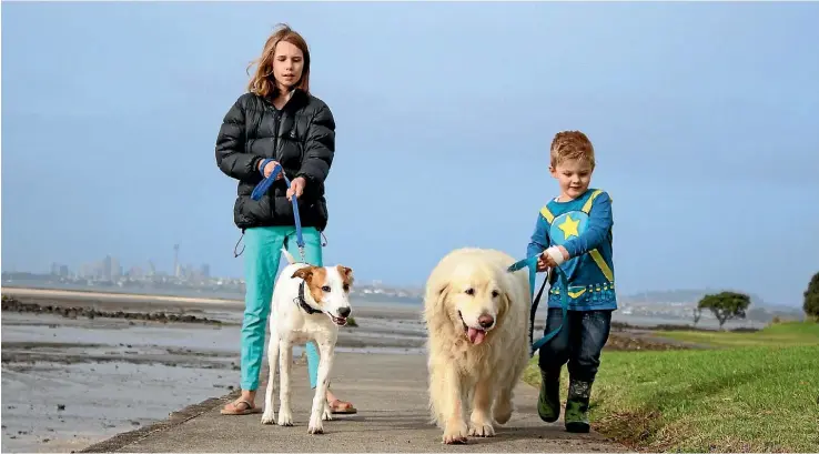  ?? PHOTO: SIMON SMITH ?? Walking on the Te Atatu Walkway, from left: Nellie Venter, 12, with her dog Misha and Harrison Chatfield, 4, with golden retriever Riley.