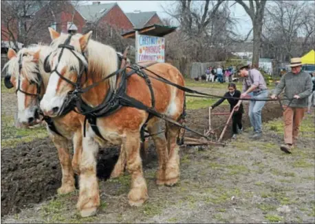  ?? PHOTOS BY JOHN BERRY — THE TRENTONIAN ?? Jack and Chester pull the plow while fourth grade student Kenia Rodriguez guides the plow with help from Kevin Watson as Larry Kidder steers the horses. Isles and Howell Living History Farm worked together to plow and teach local students about farming...