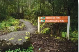  ??  ?? Enjoy guided walks for active seniors around tracks in Noojee.