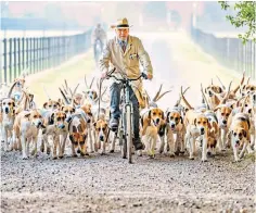 ?? ?? Follow the leader: early-morning exercise for the hounds of the Belvoir Hunt in 2018
