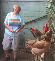  ?? JOSÉE BLANCHETTE ?? L’éducatrice en diversité Lisa Brown, accompagné­e de ses poules et coq à Cape Cod: «Trump a moins de cervelle que mon coq!»