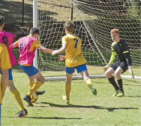  ?? Photo: Nev Madsen ?? CUP CLASH: Toowoomba Grammar School’s Bill Turner Cup team gets in a contested training session ahead of their national semi-final match against Bossley Park High School today.