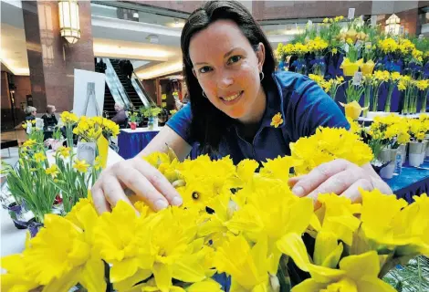  ?? EDMONTON JOURNAL/FILES ?? The Canadian Cancer Society’s annual Daffodil Days fundraiser­s each April evolved from the early door-to-door canvass campaigns of the society, which was founded in 1938.