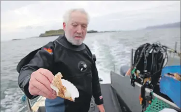  ??  ?? Diver Davy Stinson holds a damaged scallop shell in the Firth of Lorn, which he says has seen a rise in ‘illegal’ dredging.