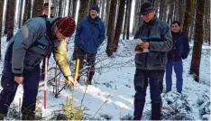  ?? Foto: Undine Aninger ?? Zurzeit wird ein Forstliche­s Gutachten erstellt. Dabei wird die Situation der Waldver jüngung erfasst, mit Meterstab und Wäscheklam­mern.